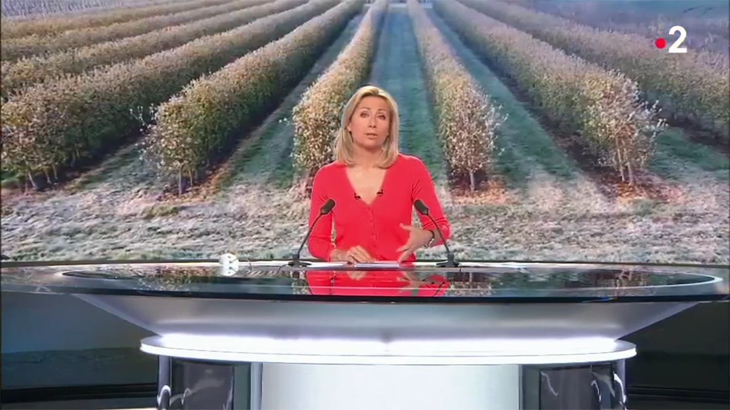 Agriculteurs face aux aléas climatiques - Reportage - France 2