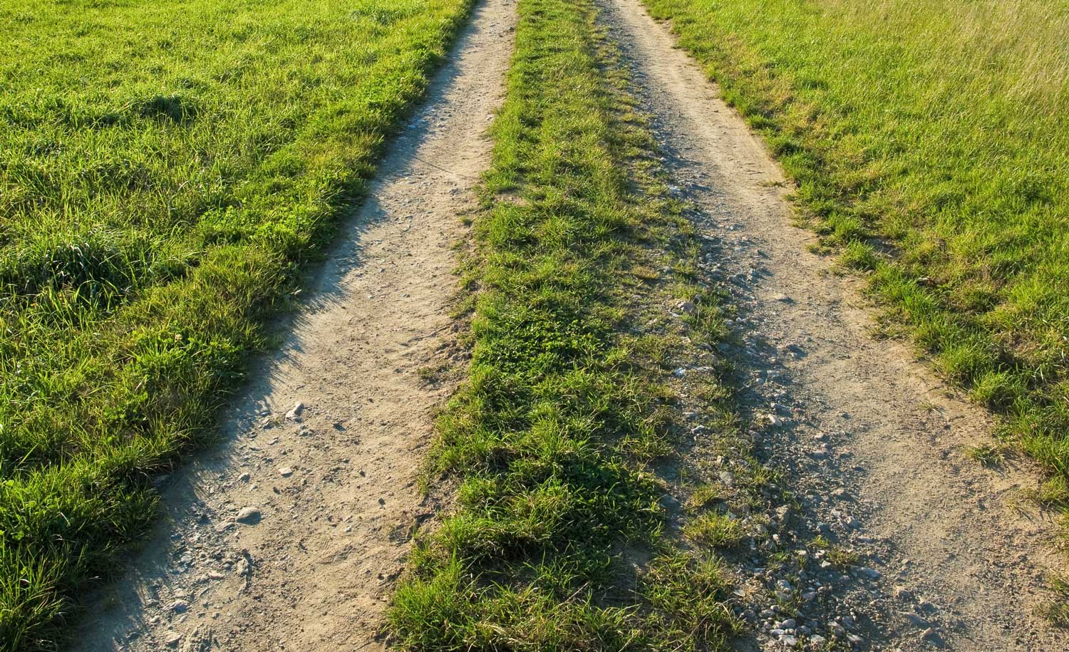 Panorama Risques Agricole