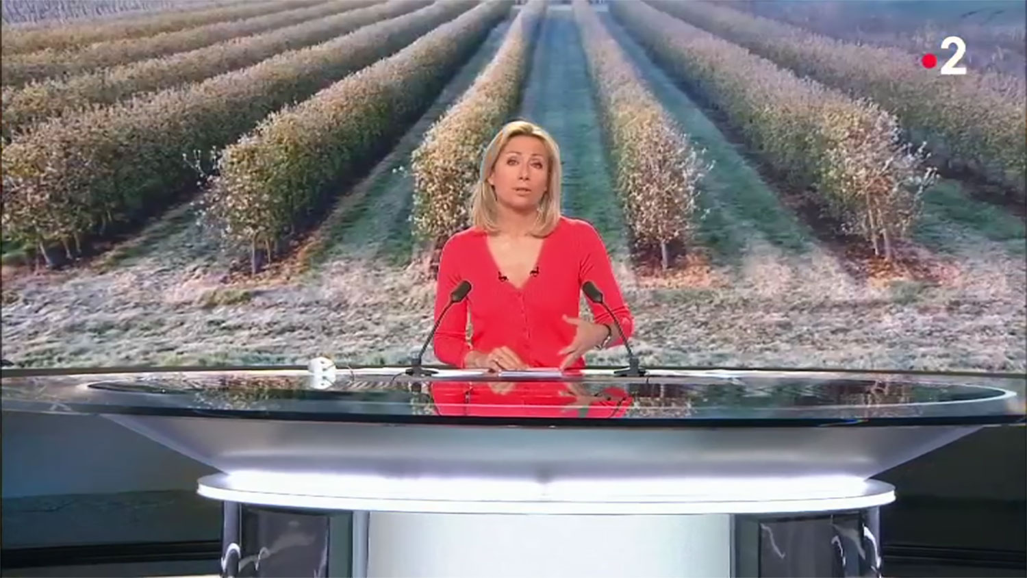 Agriculteurs face aux aléas climatiques