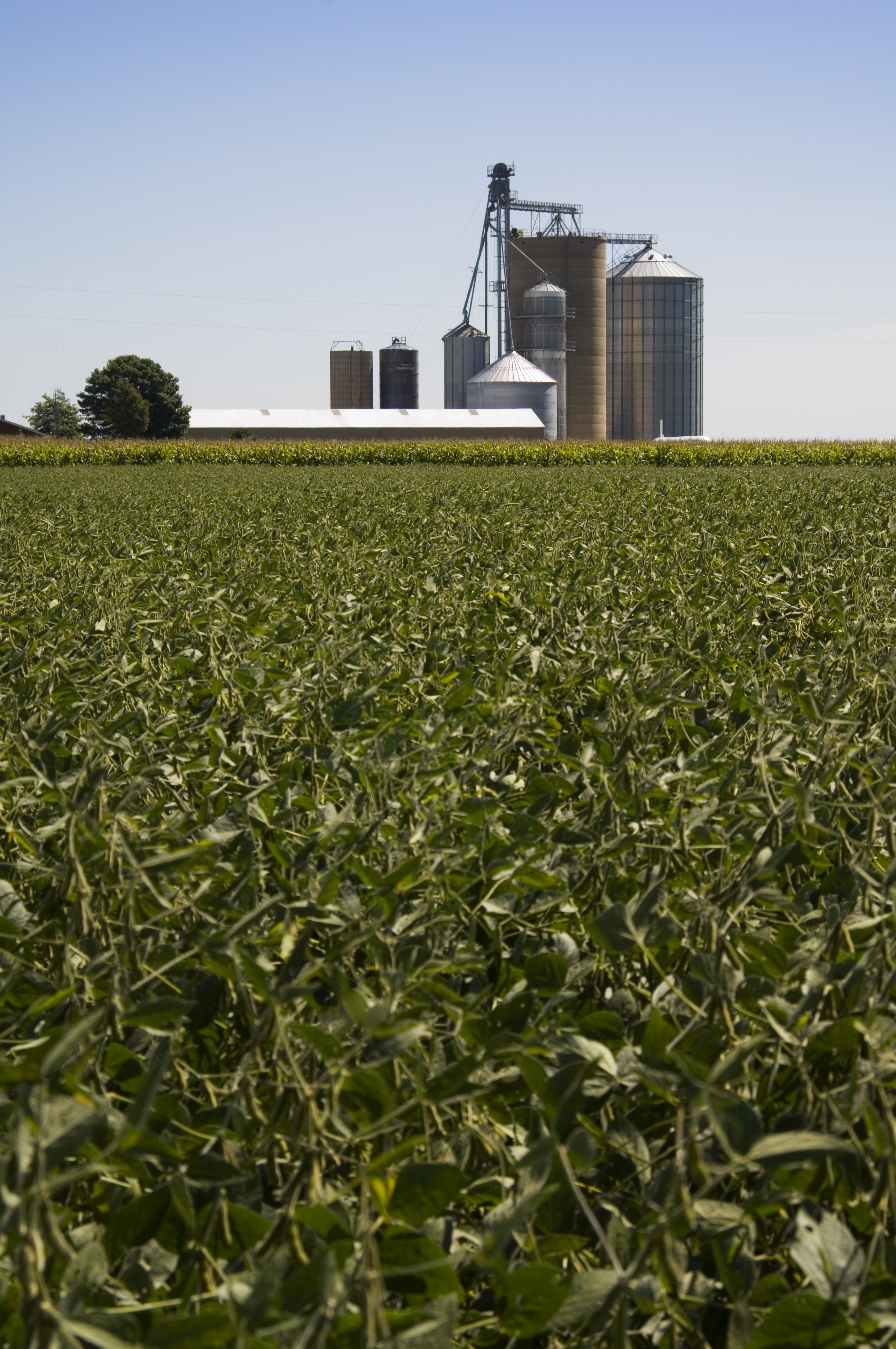 Le point de vue des agriculteurs