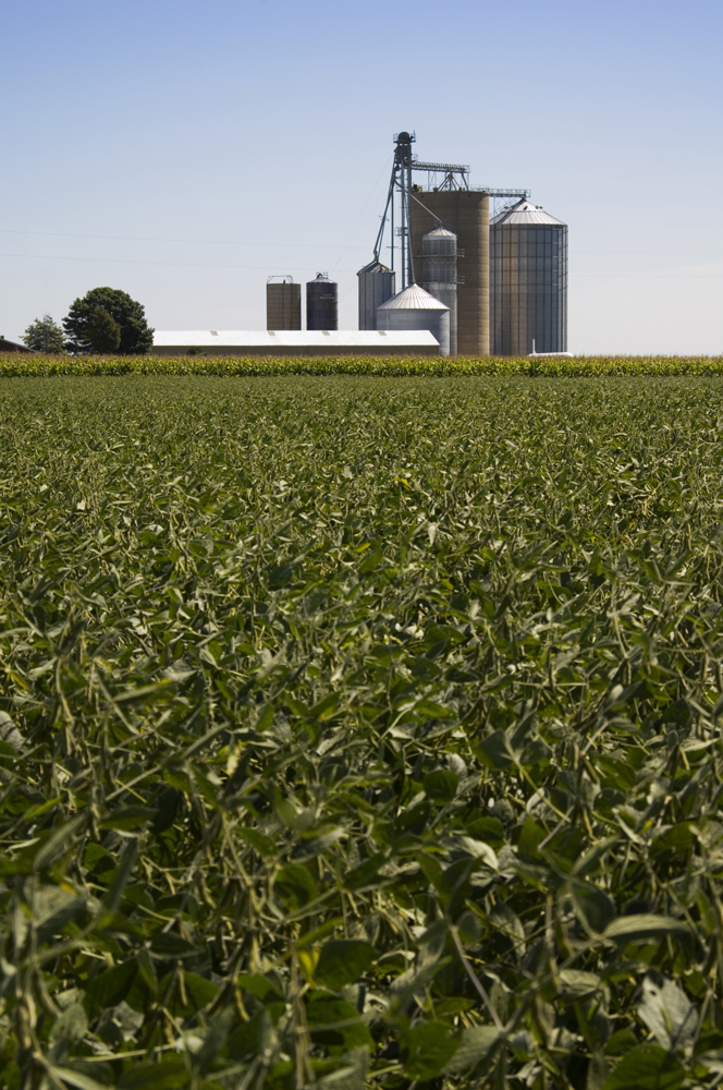 Le point de vue des agriculteurs