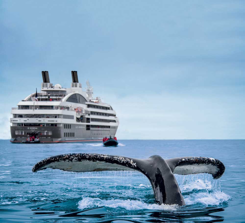 armateur-croisieriste-