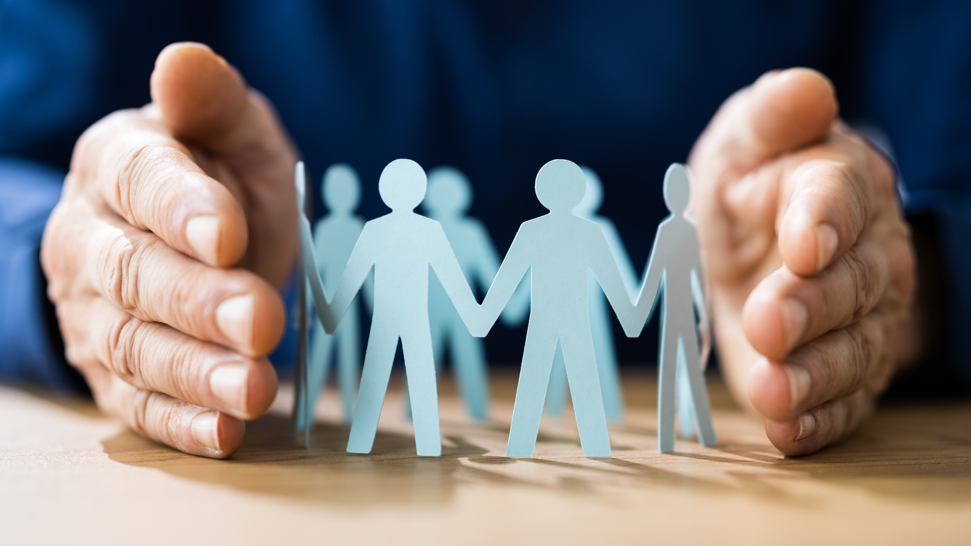 Brève de décembre 2025 en image