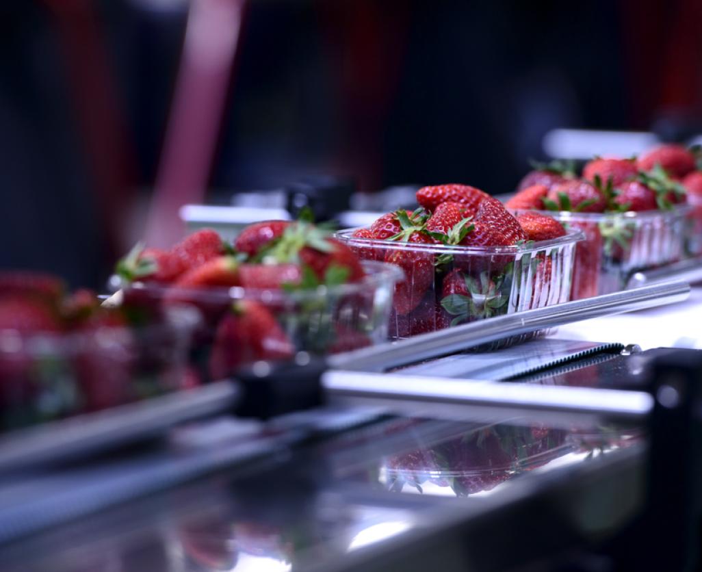 Fraise