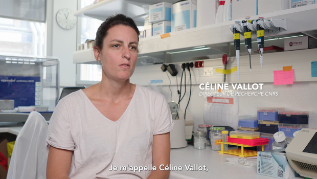 Interview de Céline Vallot, Directeur de recherche CRNS en charge du projet Single Cell