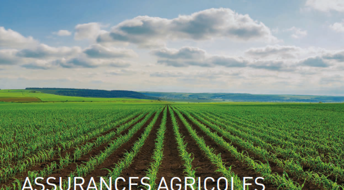 Assurances Agricoles 